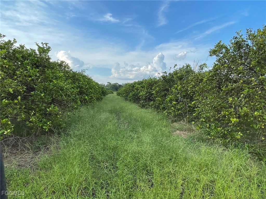 6380 + 6340 6th Road Labelle FL 33935 2026006540 image3