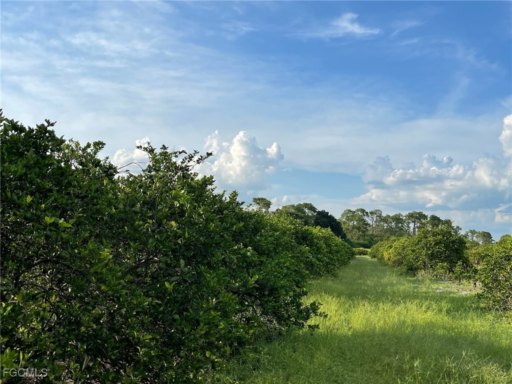 6380 + 6340 6th Road Labelle FL 33935 2026006540 image4