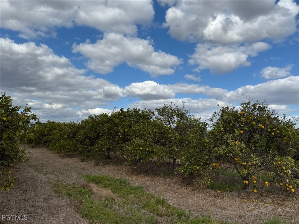 6380 + 6340 6th Road Labelle FL 33935 2026006540 image5