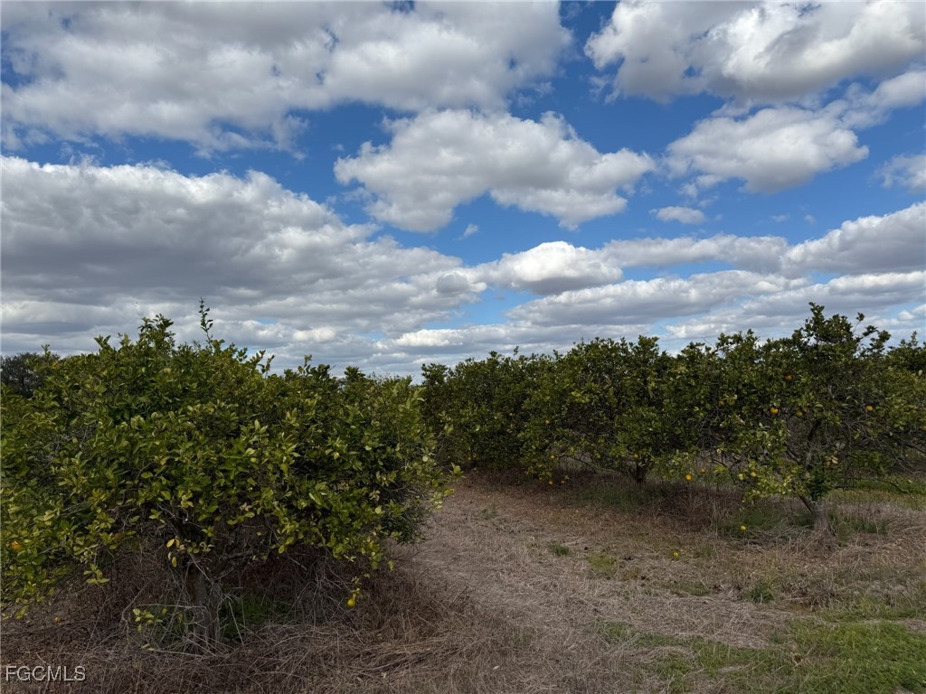 6380 + 6340 6th Road Labelle FL 33935 2026006540 image6