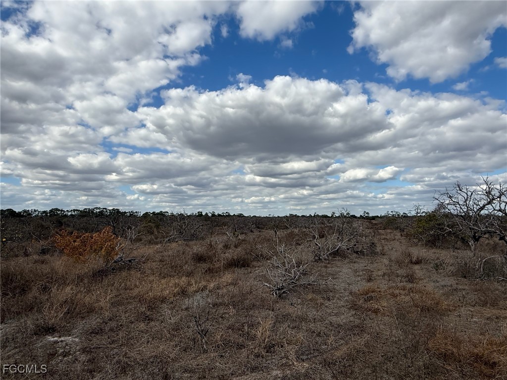 6380 + 6340 6th Road Labelle FL 33935 2026006540 image7