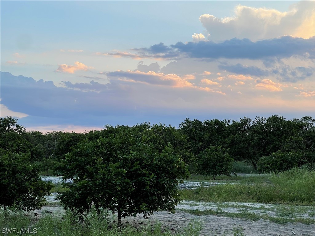 6545 7th Road Labelle FL 33935 223069917 image1