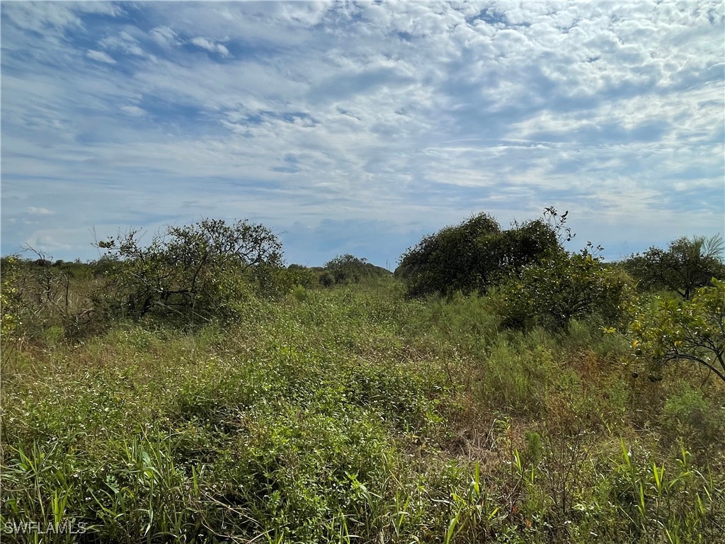 6625 7th Road Labelle FL 33935 224087439 image1