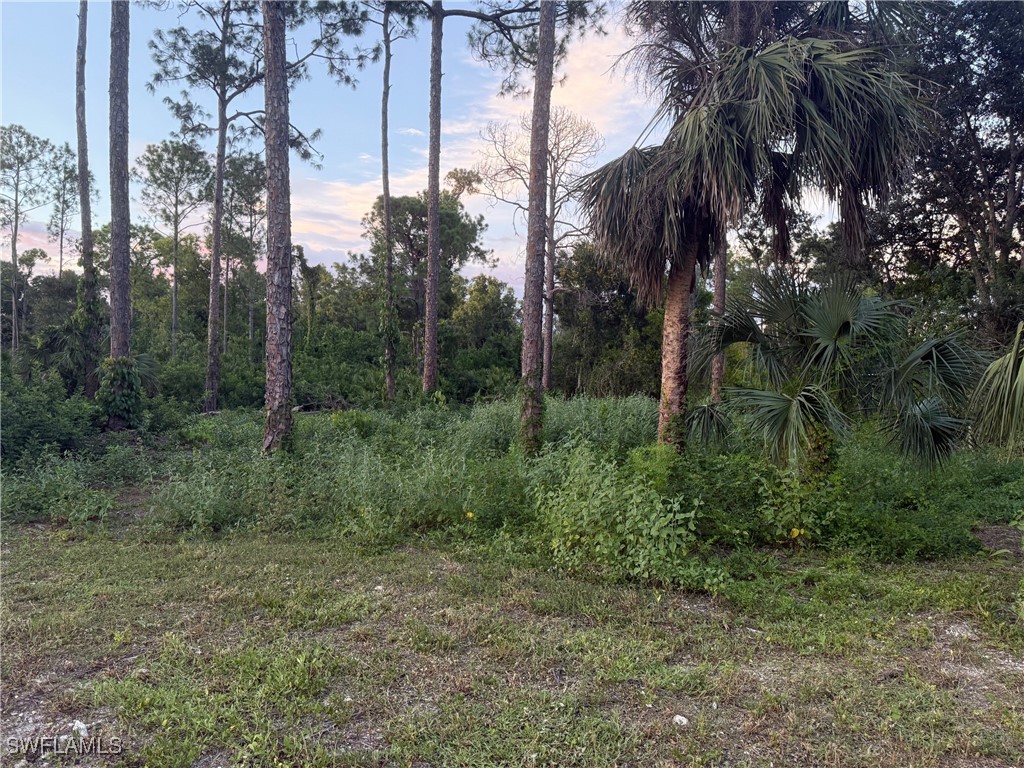 66th Street SW Naples FL 34105 225071554 image5