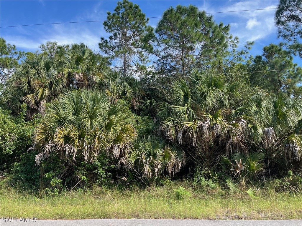 6th Street NE Naples FL 34120 225078056 image1