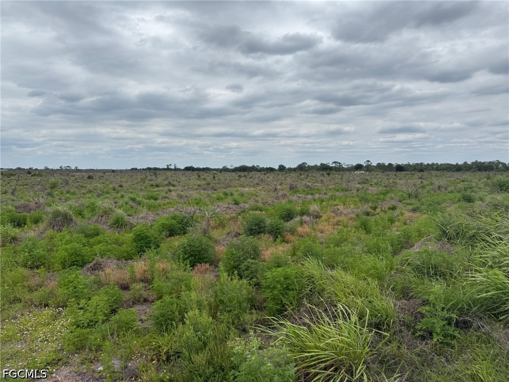 7156 6th Road Labelle FL 33935 2026018486 image1