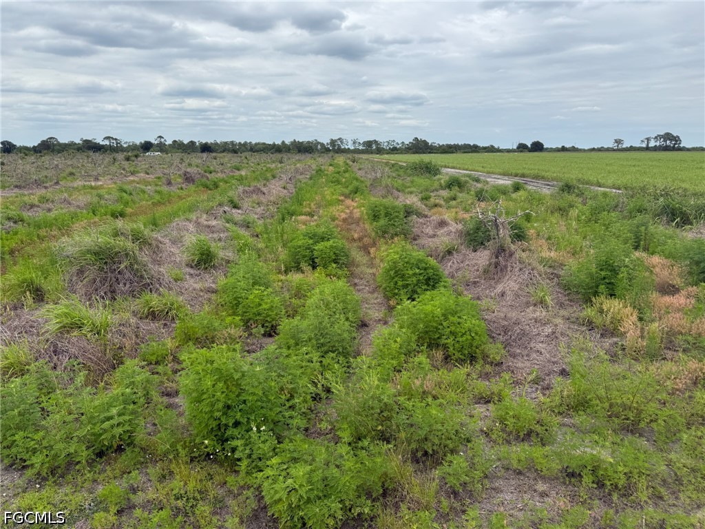 7156 6th Road Labelle FL 33935 2026018486 image2