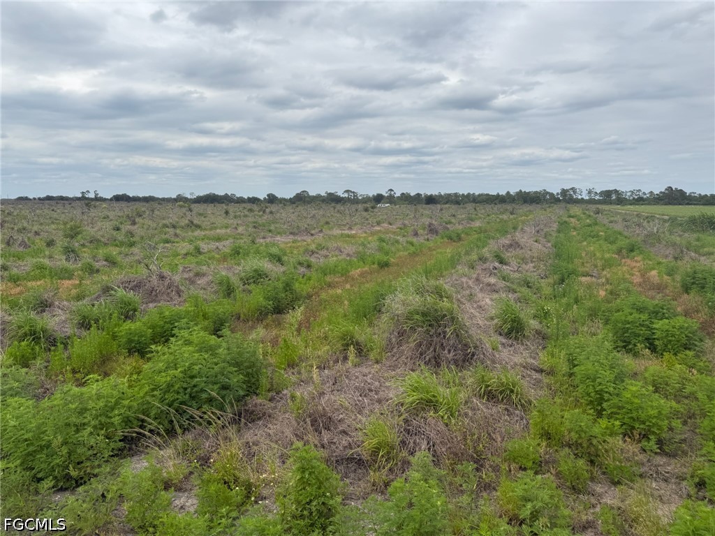 7156 6th Road Labelle FL 33935 2026018486 image6