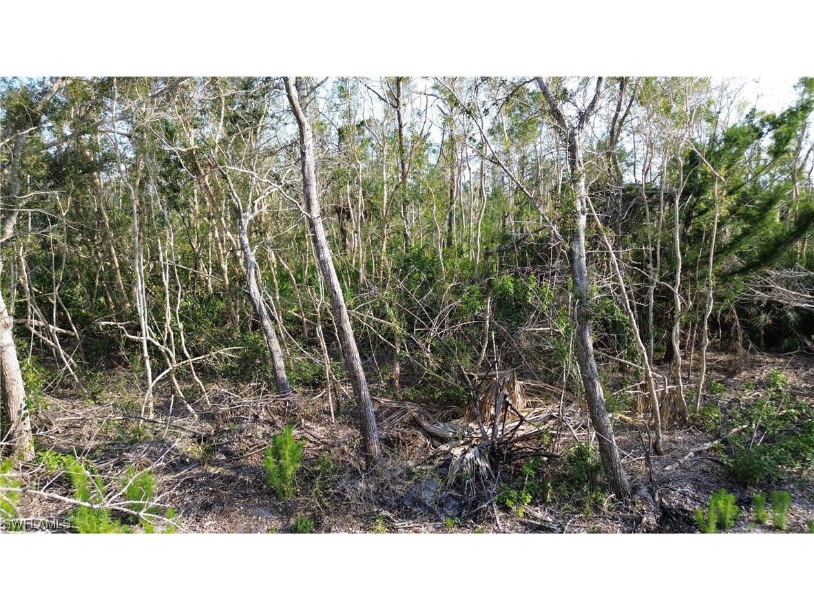 Access Undetermined Bokeelia FL 33922 223032561 image1