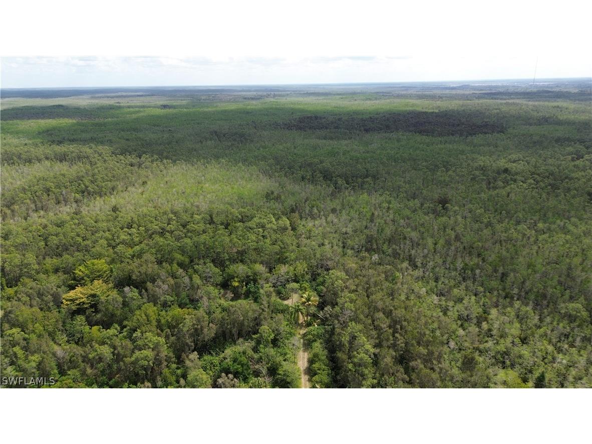 Access Undetermined Bonita Springs FL 34135 224027120 image1