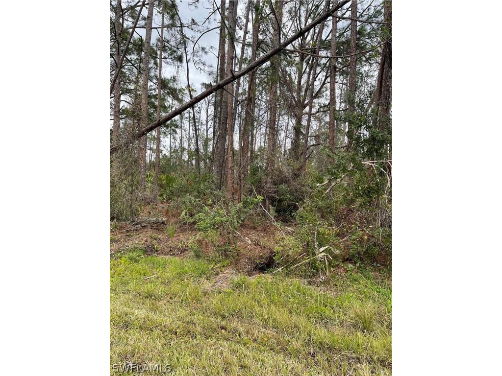 Adele Street North Port FL 34291 223007462 image1