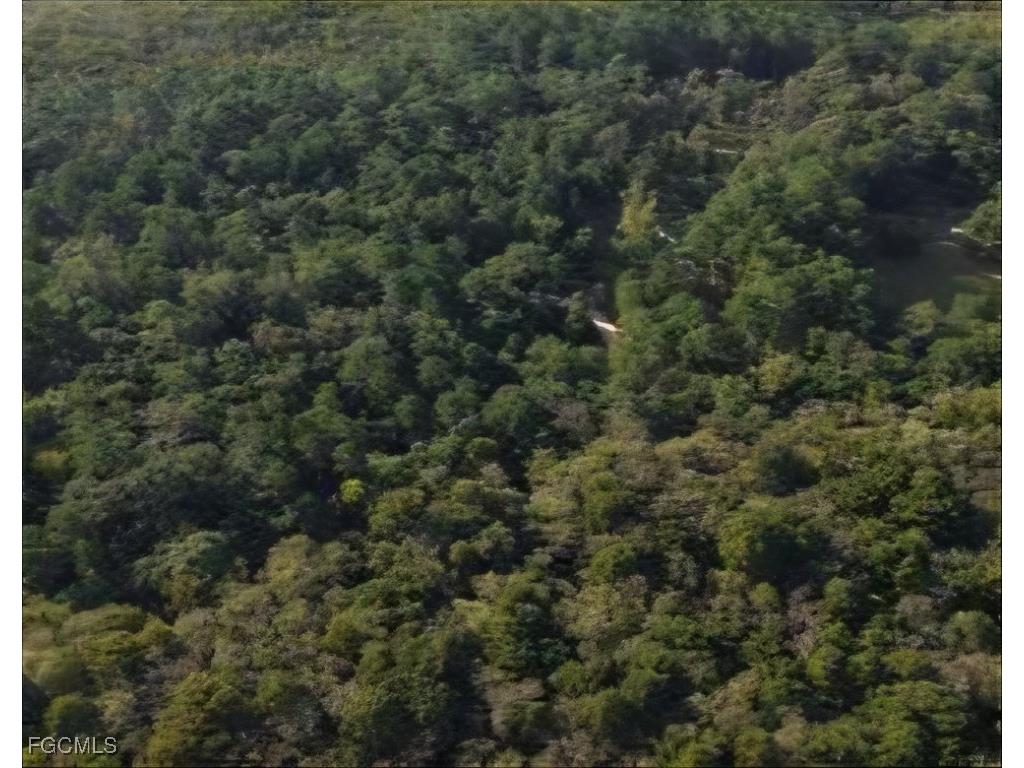  Alford FL 32420 2025017510 image6