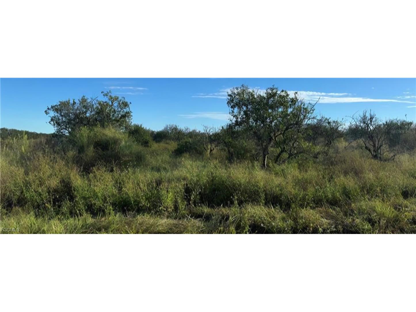  Alford FL 32420 2025017510 image7