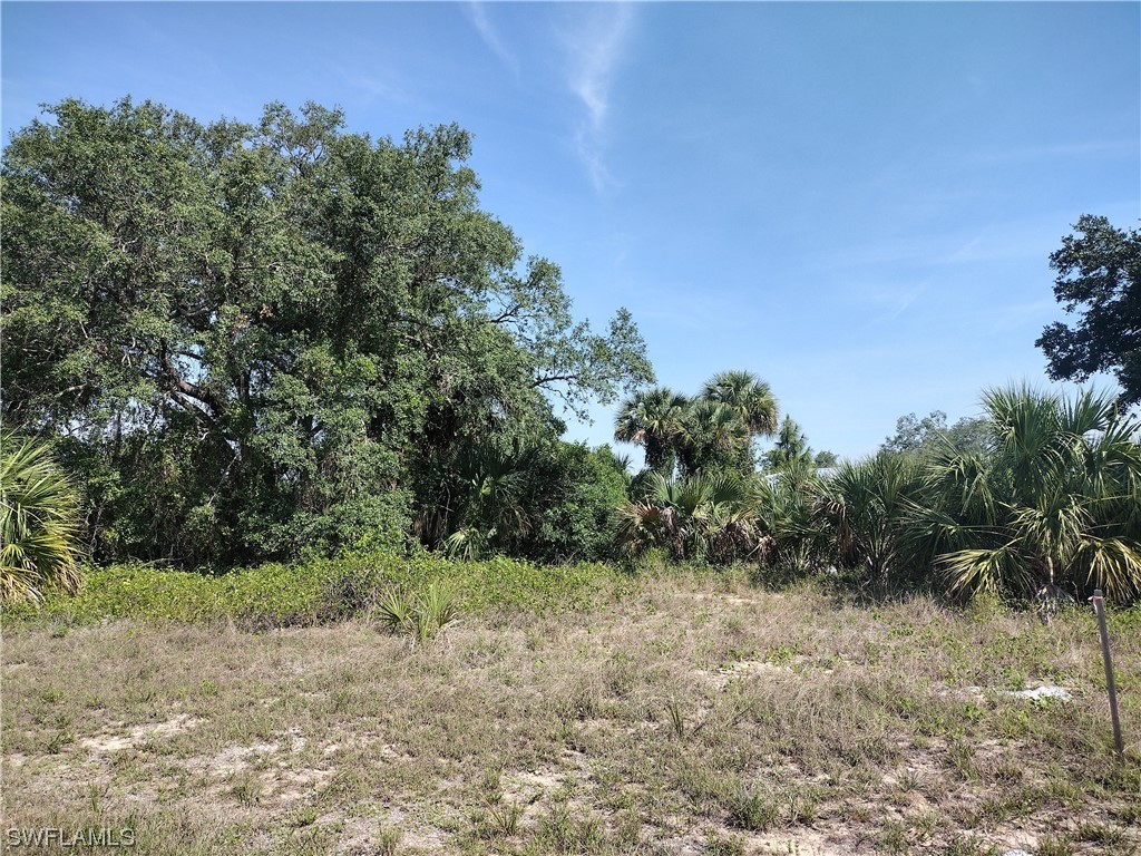 Argosy Road Labelle FL 33935 223034664 image1