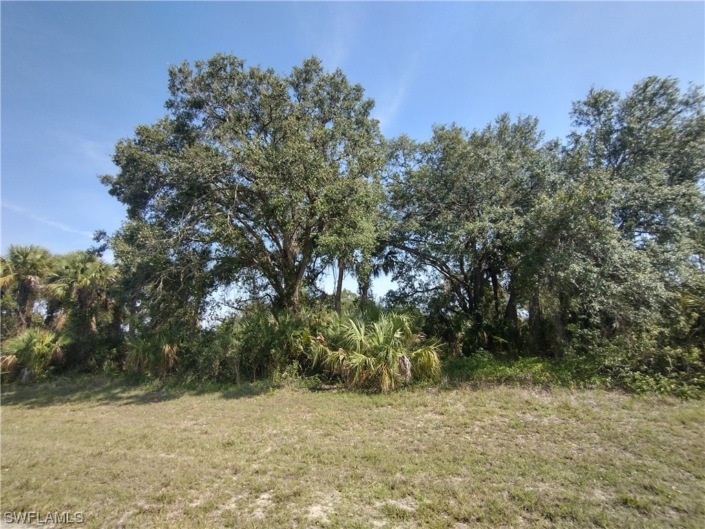 Argosy Road Labelle FL 33935 223034808 image1