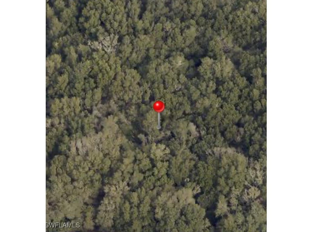 Bessie Dix Road Seffner FL 33584 224070217 image1