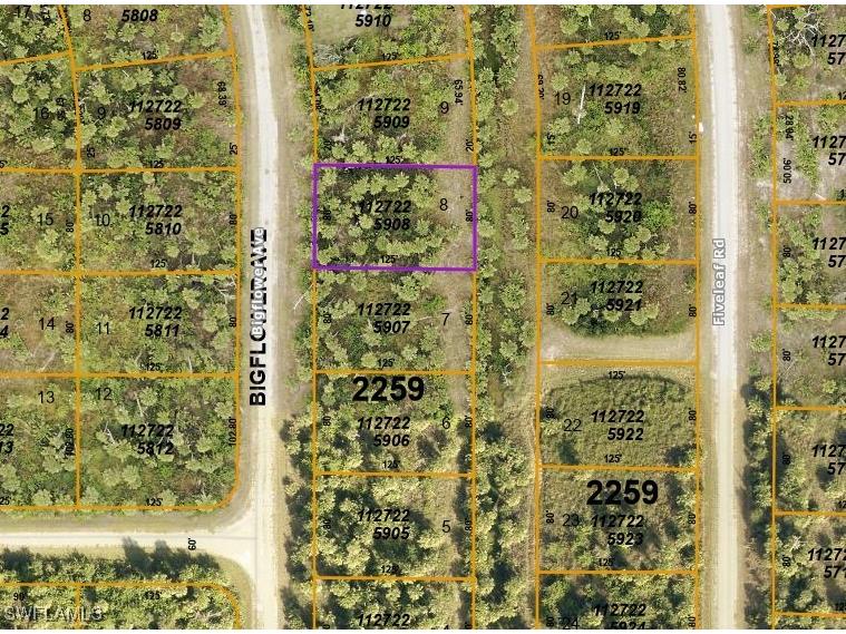 Big Flower Avenue North Port FL 34288 224076882 image1