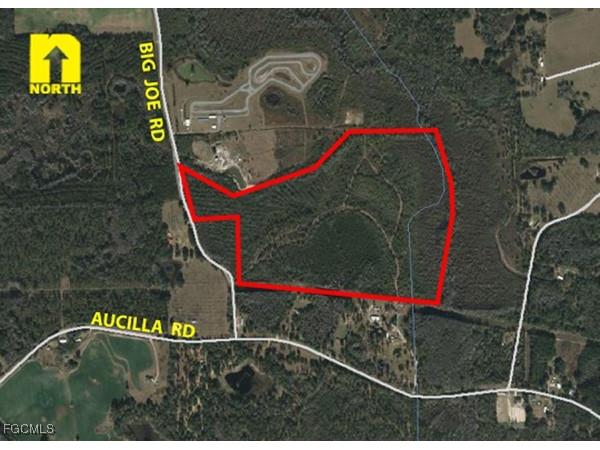 Big Joe Road Monticello FL 32344 2025007616 image1