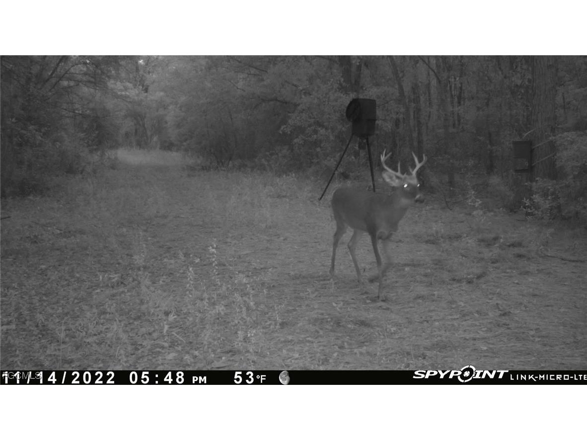 Big Joe Road Monticello FL 32344 2025007616 image6