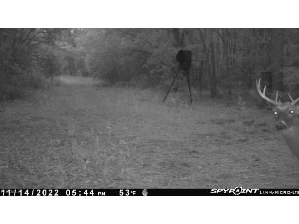 Big Joe Road Monticello FL 32344 2025007616 image7