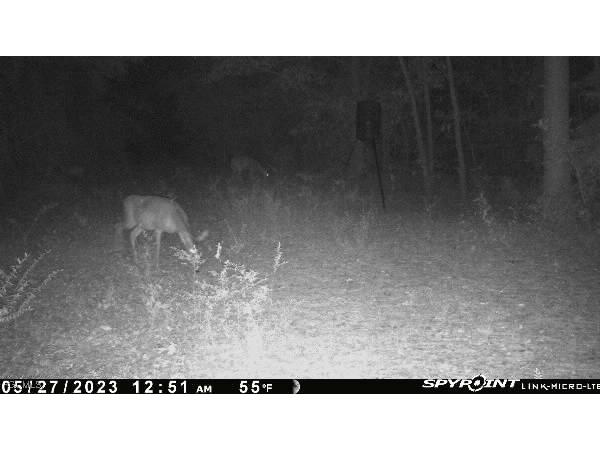 Big Joe Road Monticello FL 32344 2025007616 image8