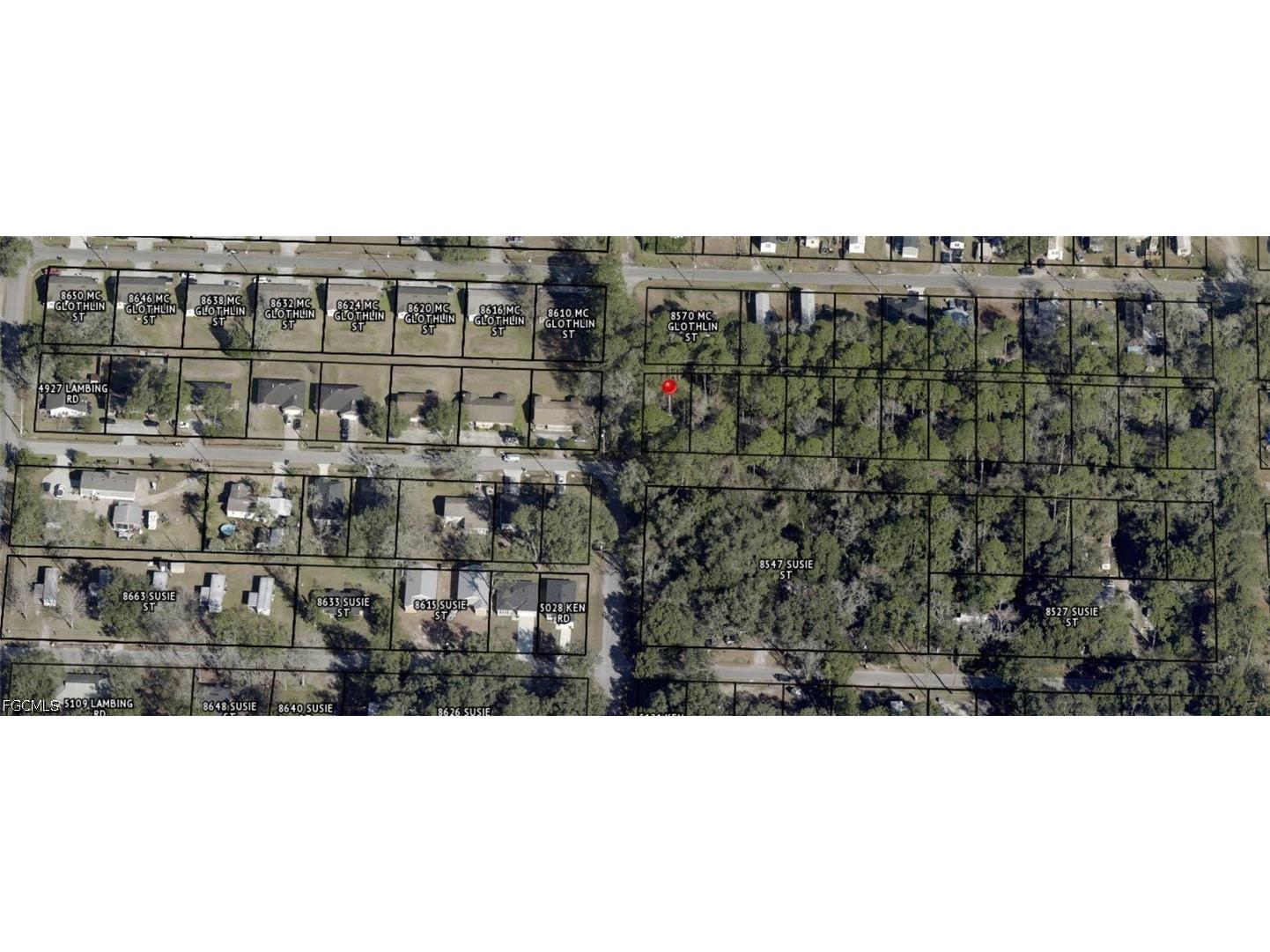 Buttercup Street Jacksonville FL 32210 2026016219 image6