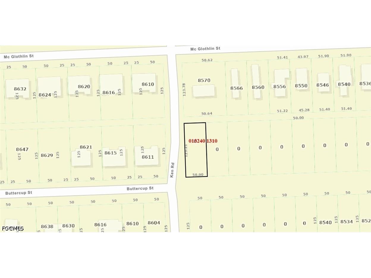 Buttercup Street Jacksonville FL 32210 2026016226 image5
