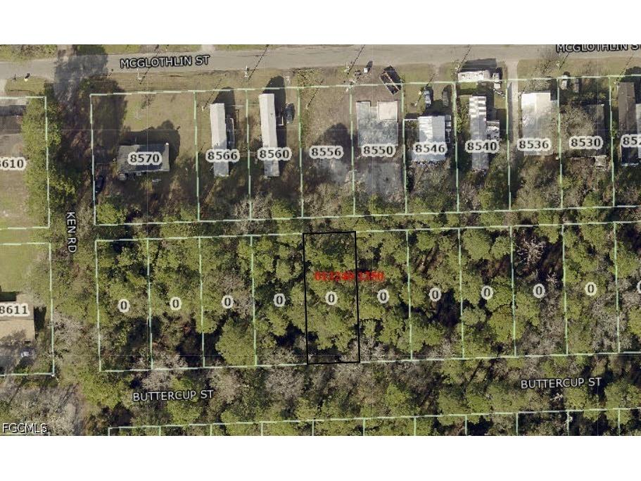 Buttercup Street Jacksonville FL 32210 2026016249 image1