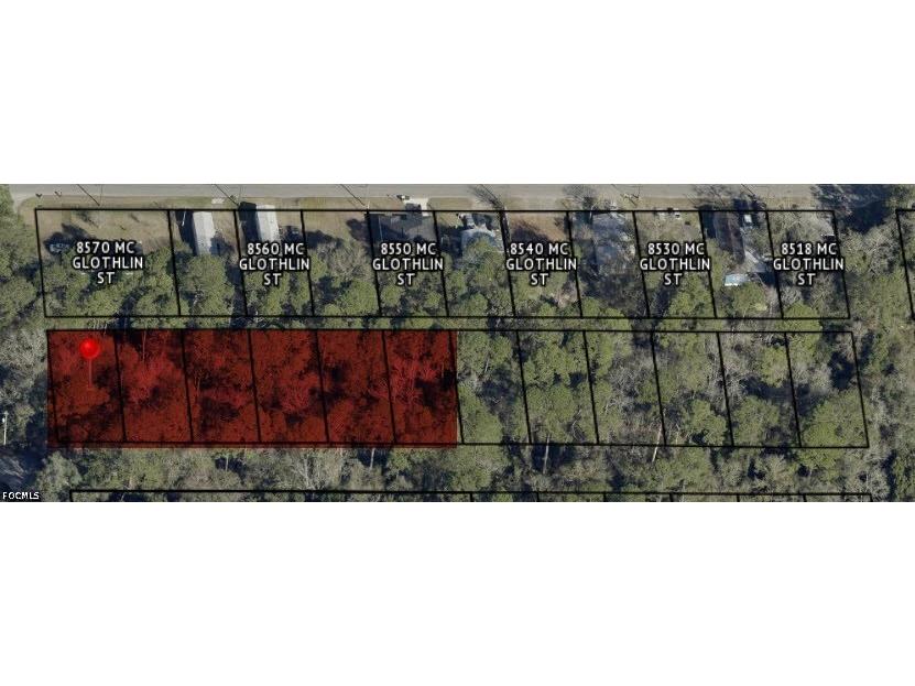 Buttercup Street Jacksonville FL 32210 2026016249 image6