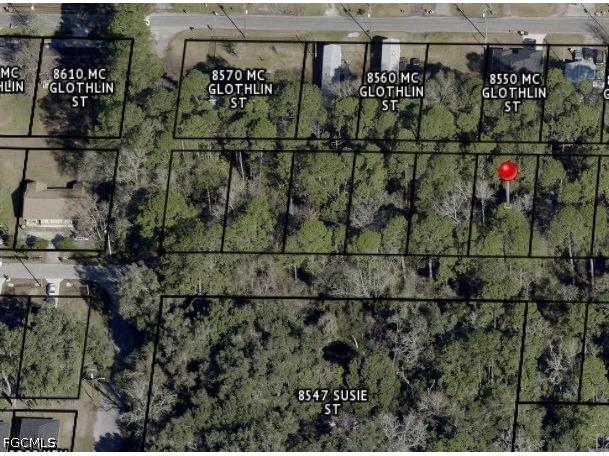 Buttercup Street Jacksonville FL 32210 2026016255 image2