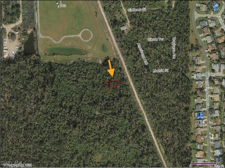Carmela Rocco Ave Lot #13 Estero FL 33928 224080219 image1