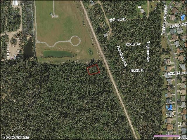 Carmela Rocco Ave Lot #20 Estero FL 33928 224080222 image1