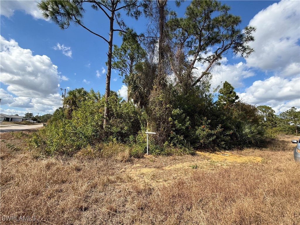 County St E Lehigh Acres FL 33974 226003735 image2