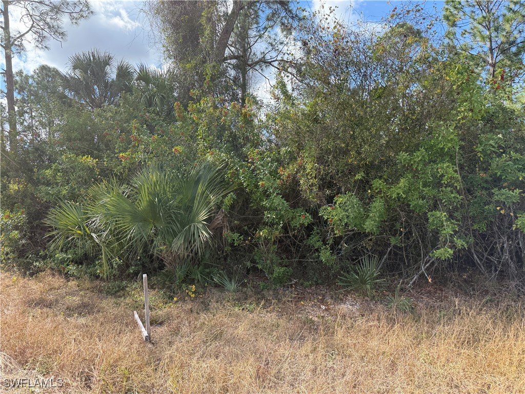 County St E Lehigh Acres FL 33974 226003735 image3