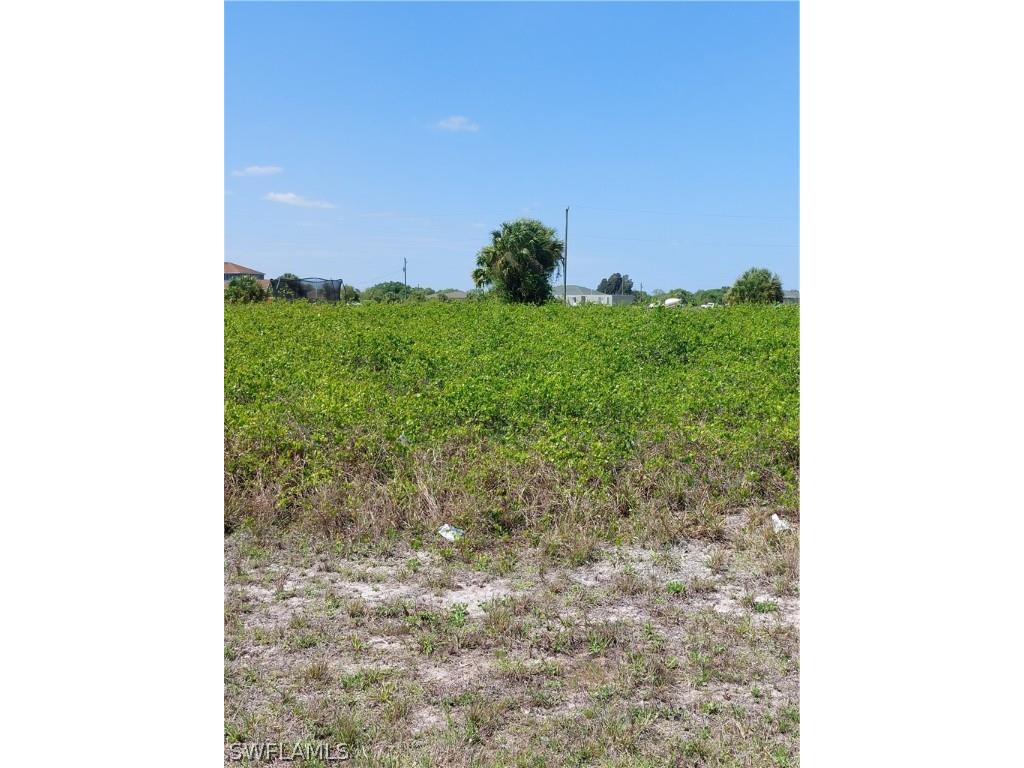 Calumet Road Labelle FL 33935 222021065 image1