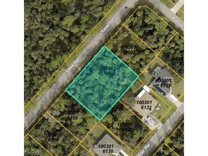 Cave Terrace Port Charlotte FL 34286 2025013273 image1