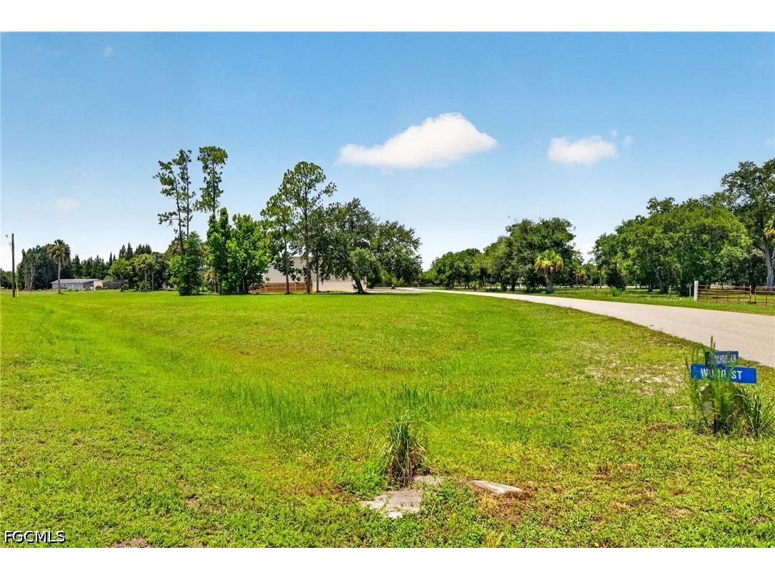 Corner School Ln And Wood St Fort Myers FL 33905 2026029138 image2