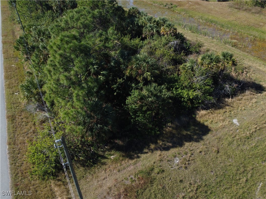 Dalewood Circle North Port FL 34288 225060962 image3