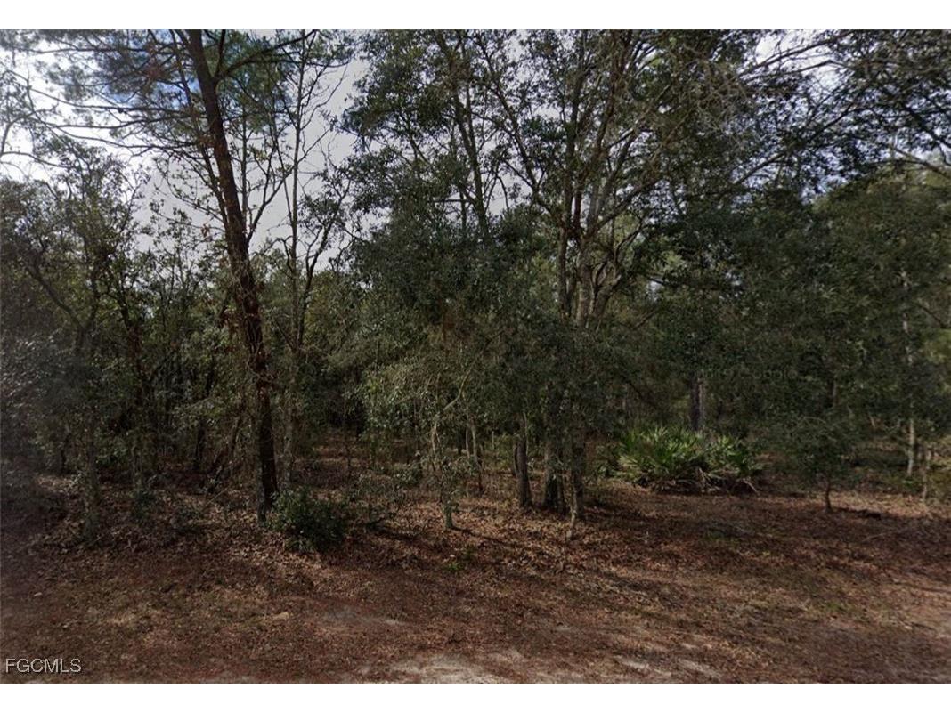 917 David Avenue Interlachen FL 32148 2025010265 image1