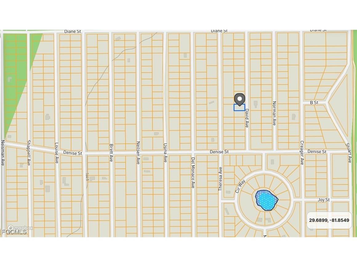 917 David Avenue Interlachen FL 32148 2025010265 image3