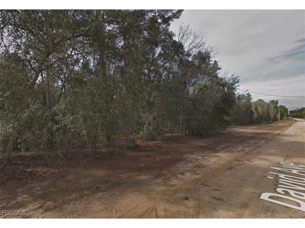 917 David Avenue Interlachen FL 32148 2025010265 image4