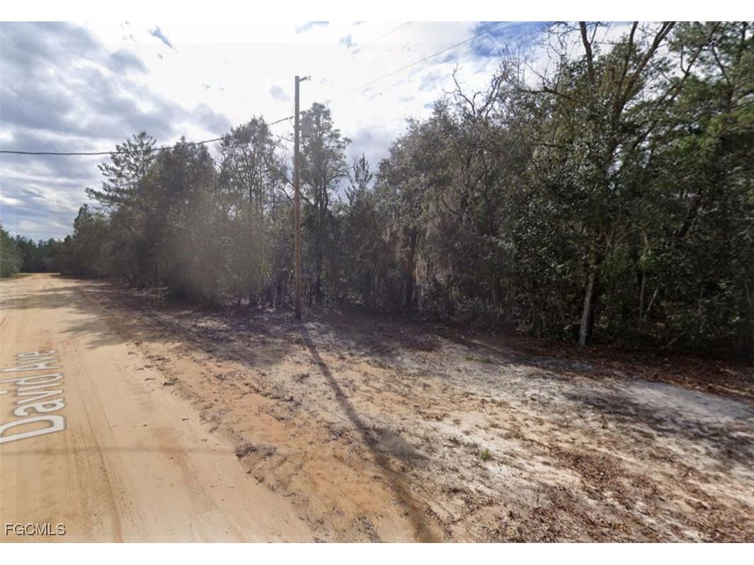 917 David Avenue Interlachen FL 32148 2025010265 image5