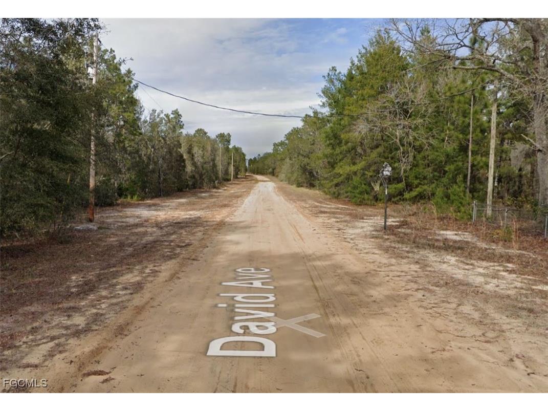 917 David Avenue Interlachen FL 32148 2025010265 image6