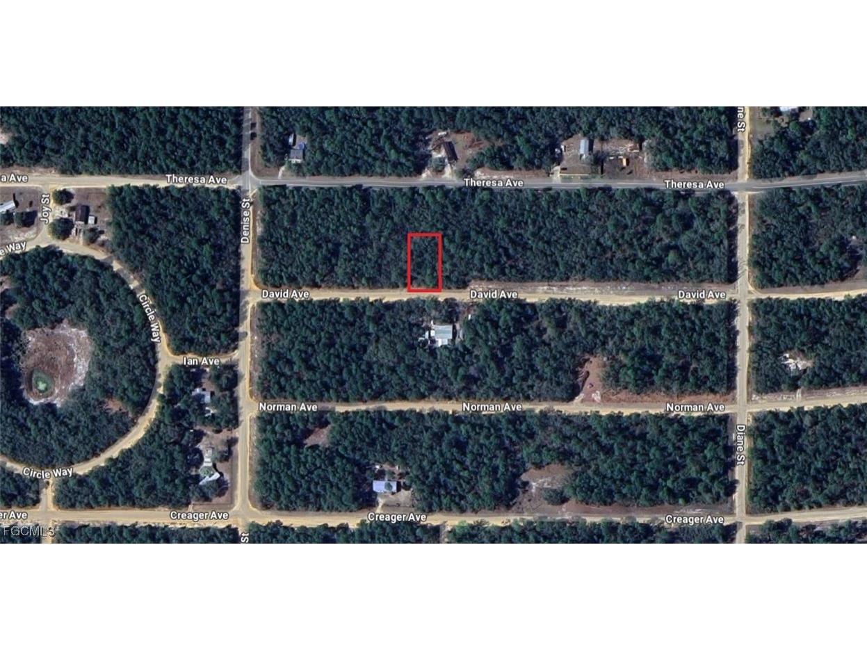 917 David Avenue Interlachen FL 32148 2025010265 image8