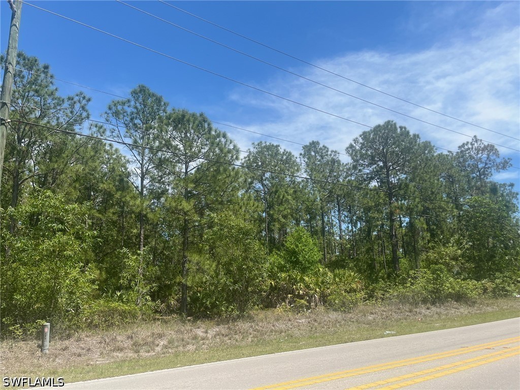 Desoto Boulevard N Naples FL 34120 226018452 image2