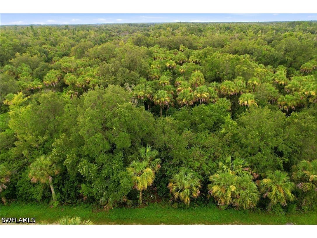 . Desoto Boulevard Naples FL 34120 226025410 image3