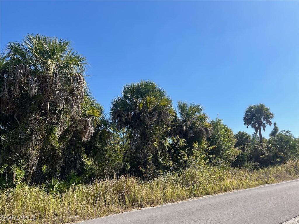 Dove Tree Street Naples FL 34117 226003009 image2