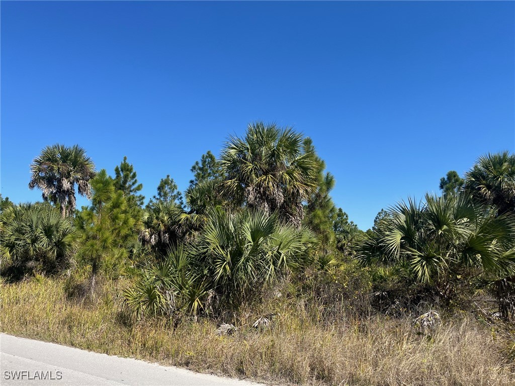 Dove Tree Street Naples FL 34117 226003009 image3