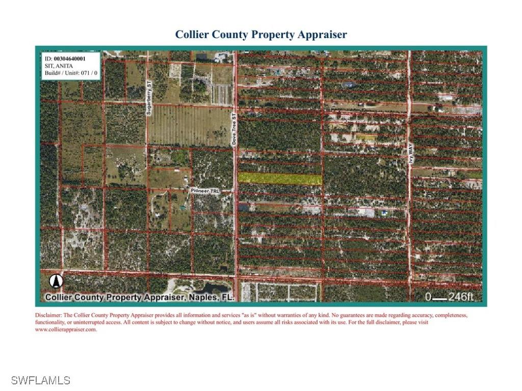 Dove Tree Street Naples FL 34117 226003009 image8