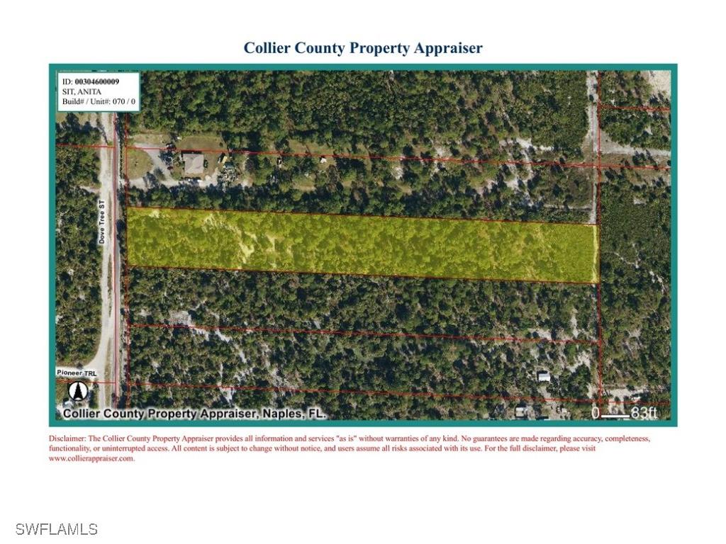 Dove Tree Street Naples FL 34117 226003425 image4